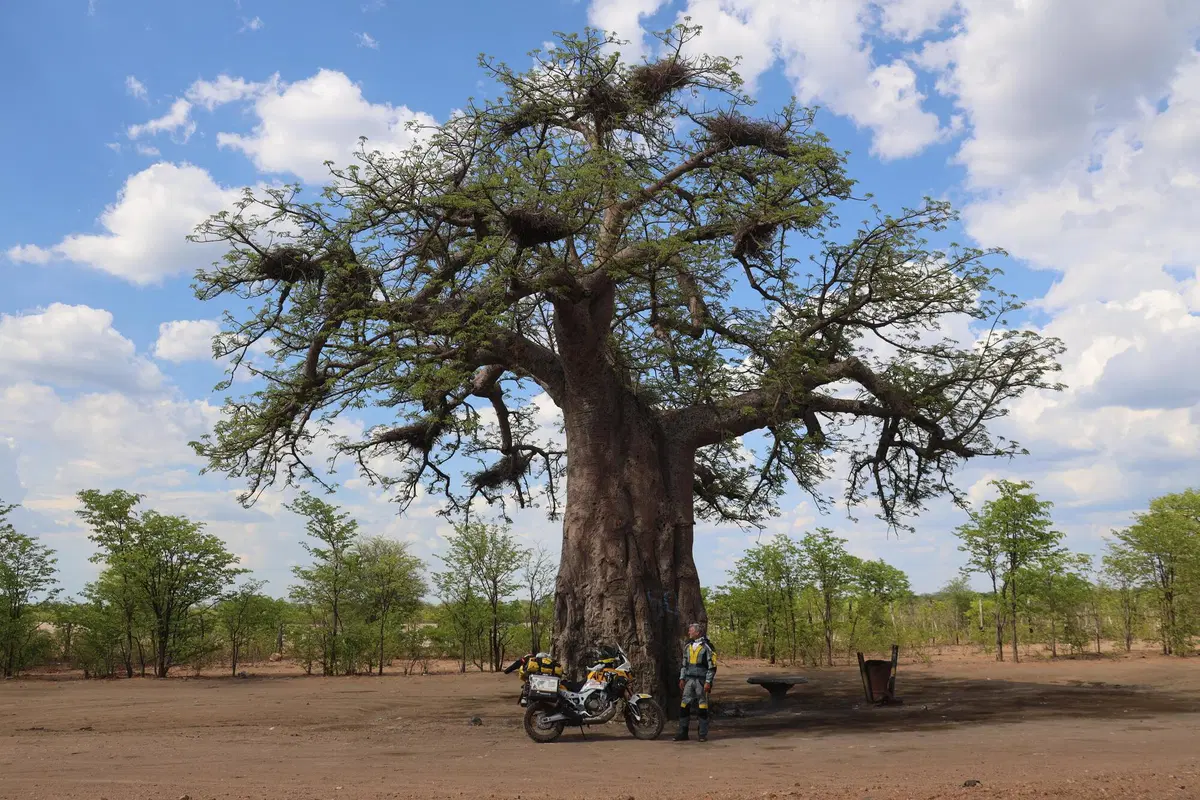 Rosario Sala: 'L'Africa secondo me' (34)
