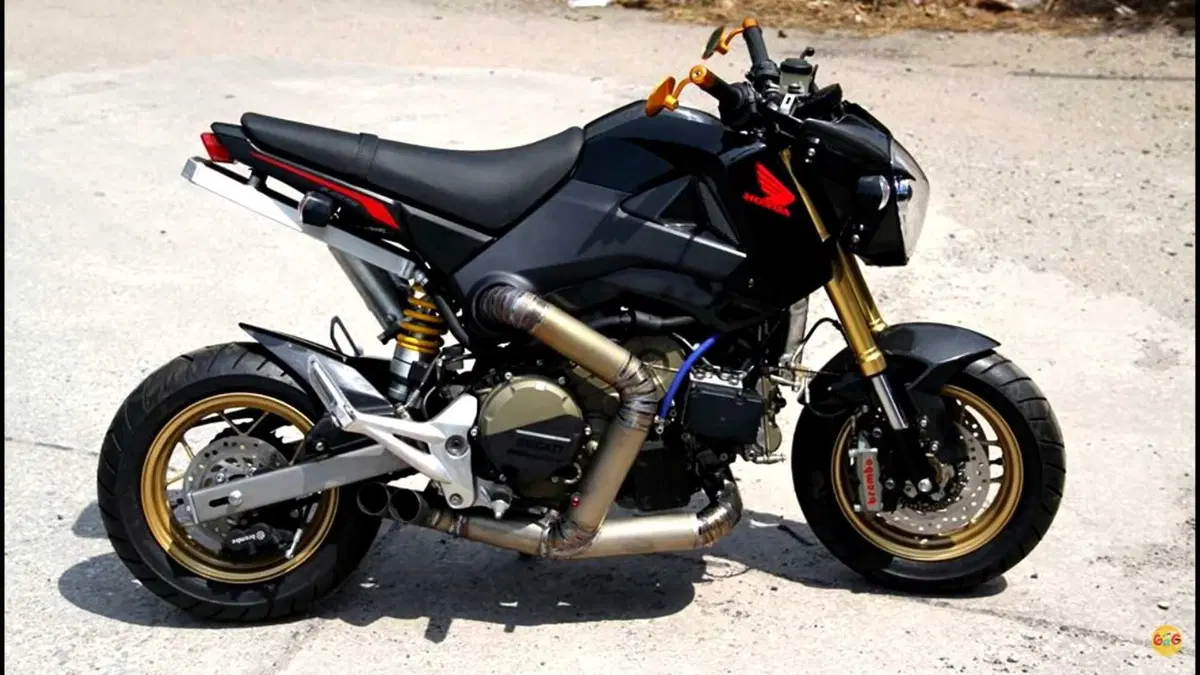 La Honda MSX pompata col motore della Panigale. Forte, ma che finaccia!  (2)