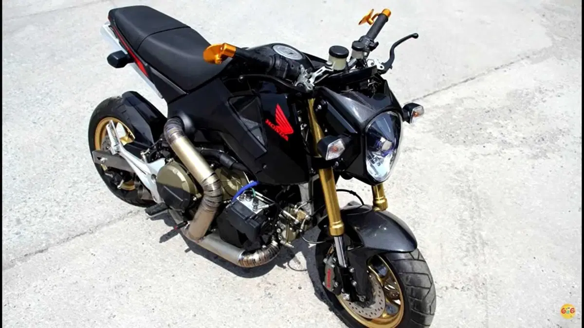 La Honda MSX pompata col motore della Panigale. Forte, ma che finaccia!  (5)