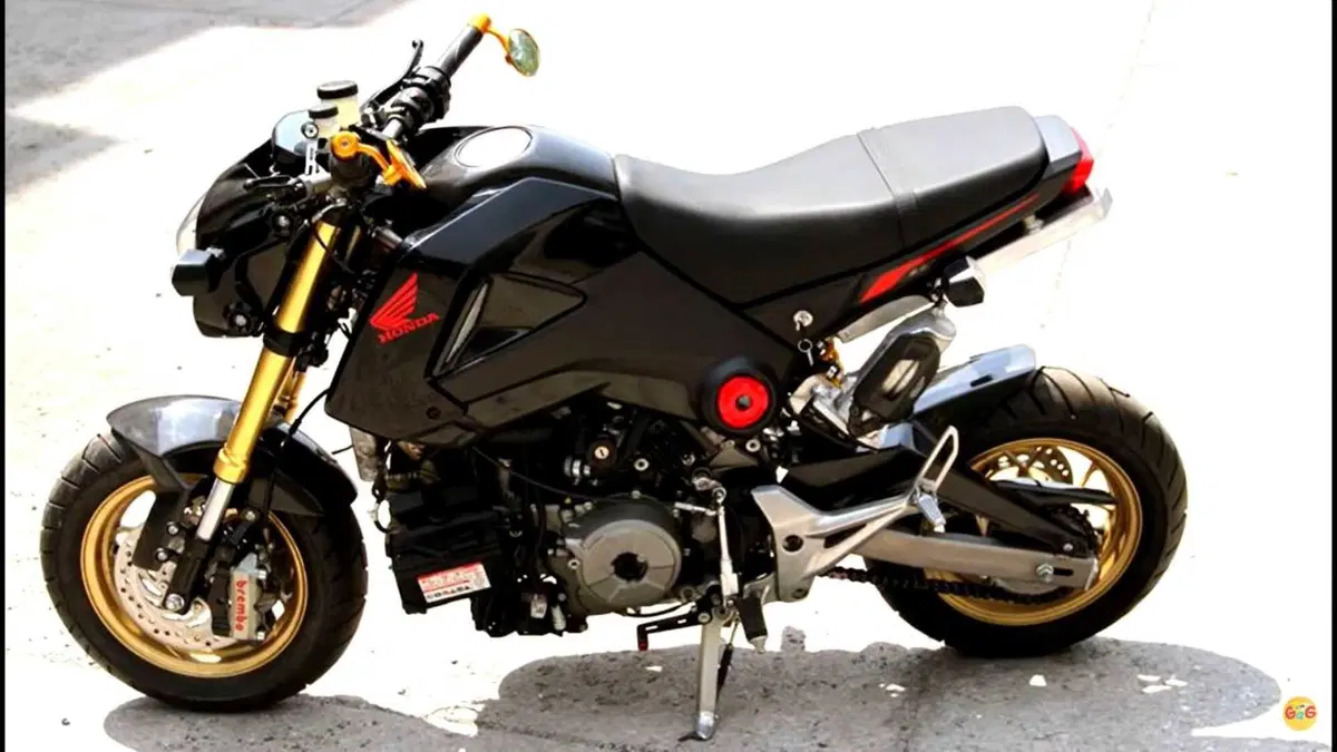 La Honda MSX pompata col motore della Panigale. Forte, ma che finaccia!  (6)
