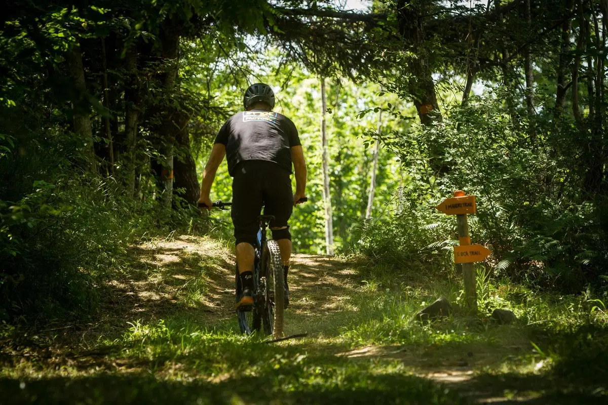 Cannondale (5)