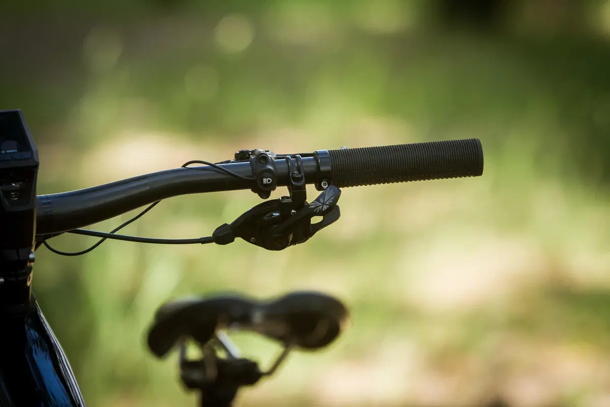 Cannondale (3)