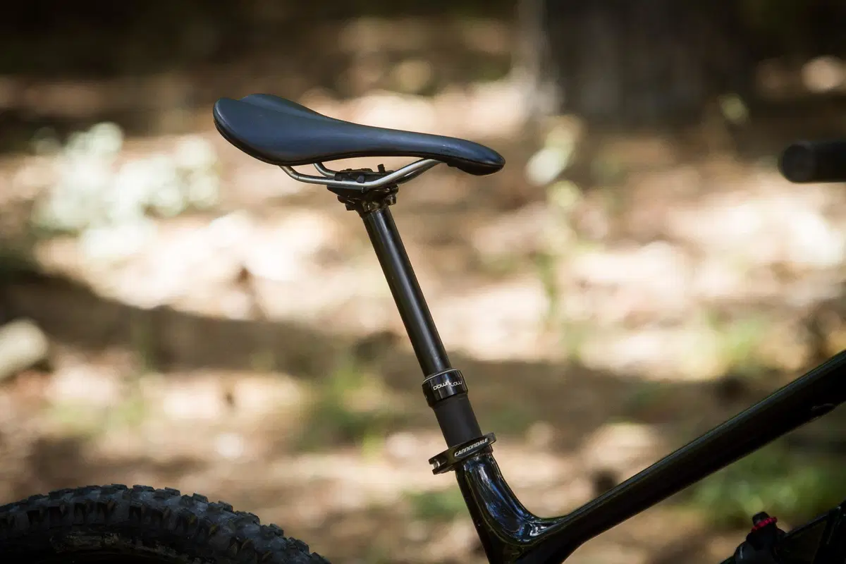 Cannondale (4)