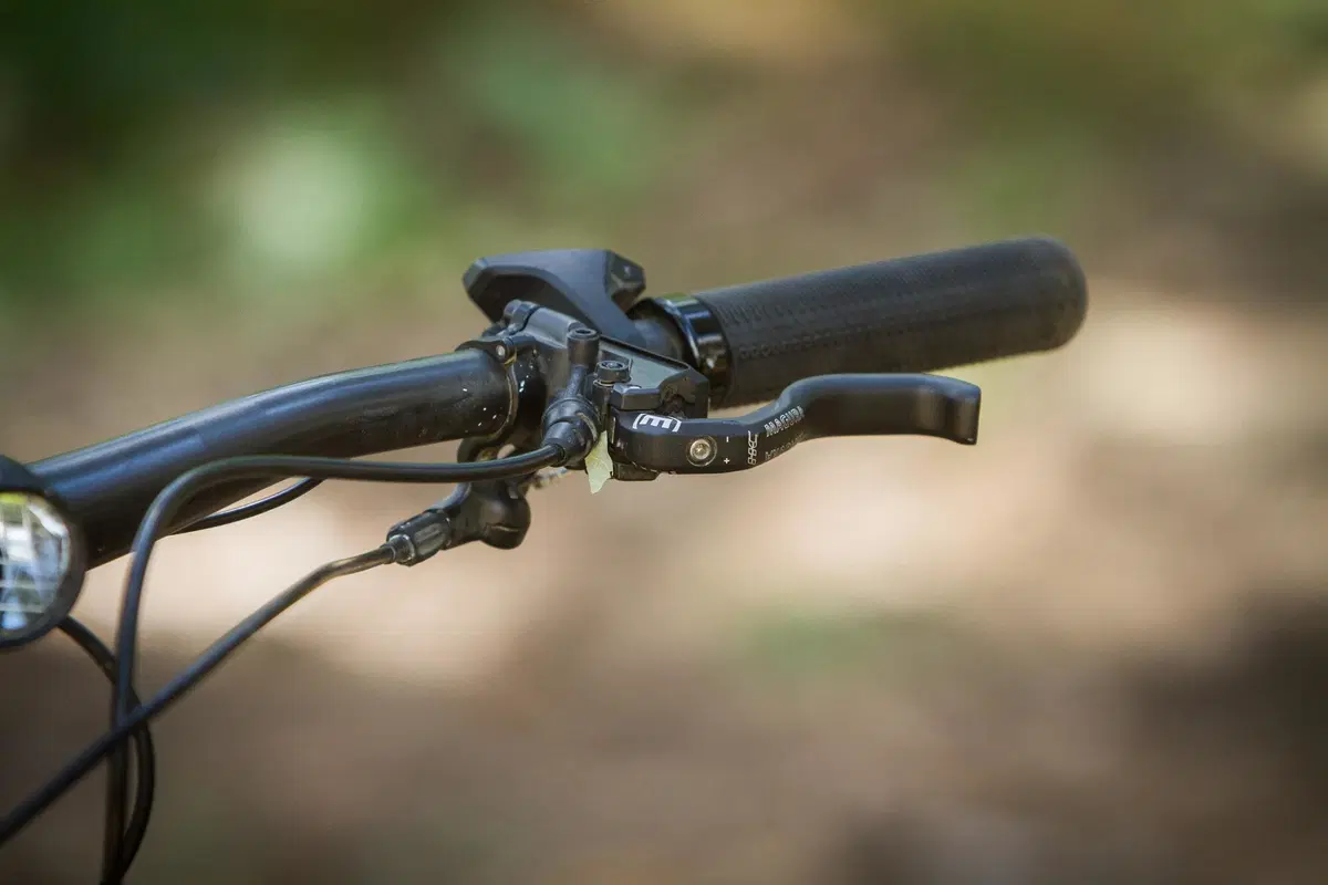 Cannondale (5)