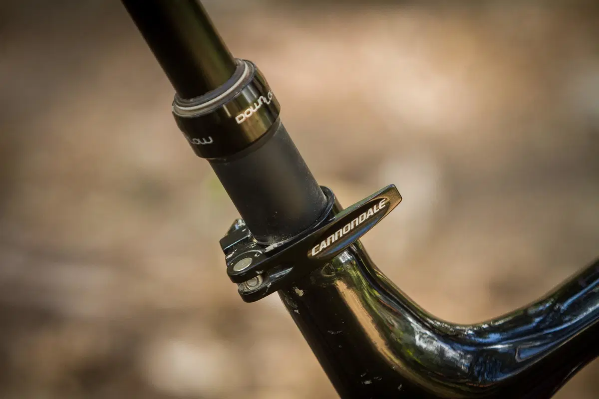 Cannondale (6)