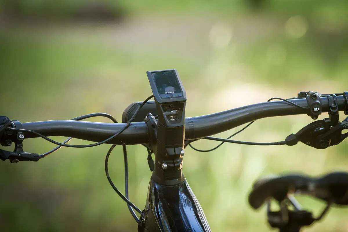 Cannondale (8)