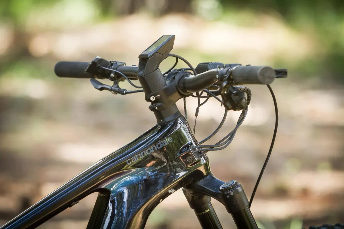 Cannondale (13)