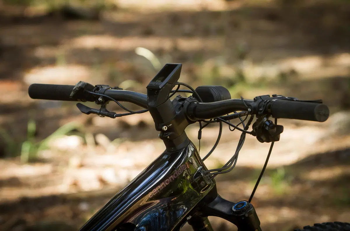 Cannondale (19)