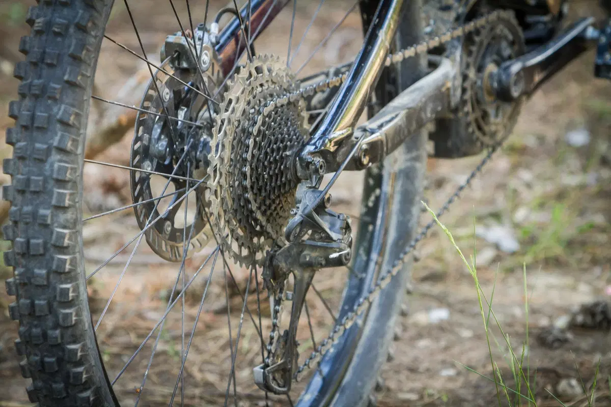 Cannondale (28)