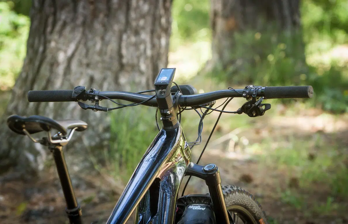 Cannondale (31)