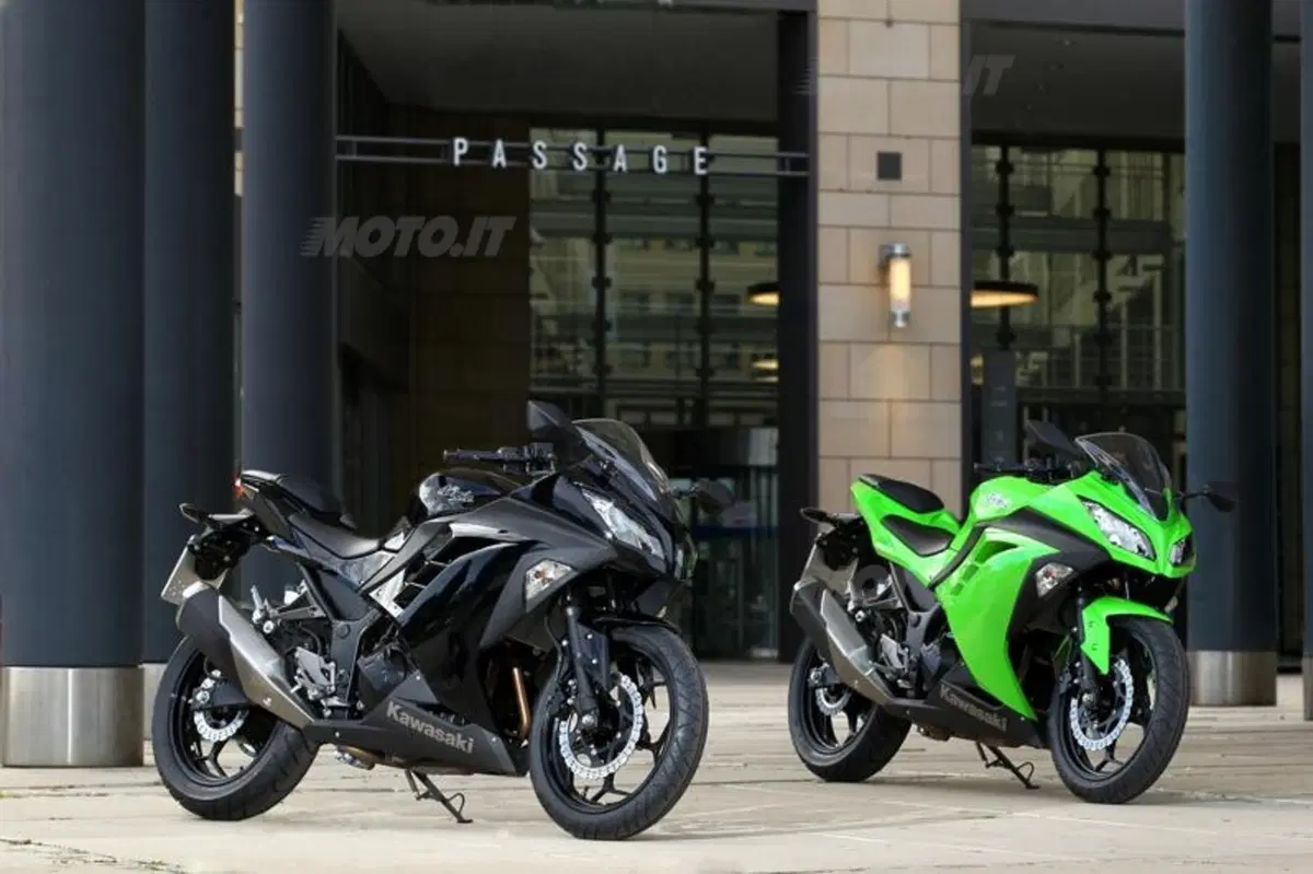 Kawasaki Ninja 300  (11)