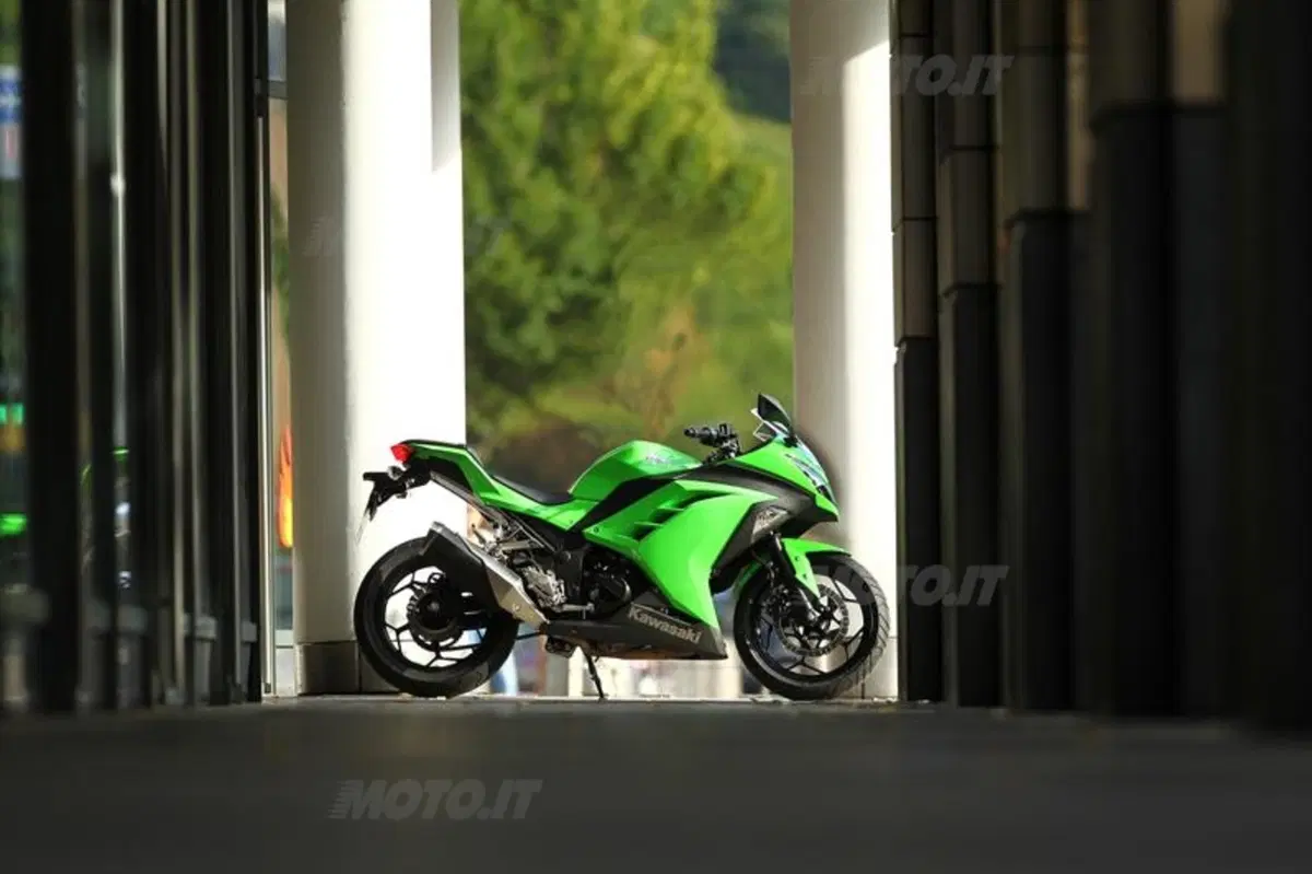 Kawasaki Ninja 300  (15)