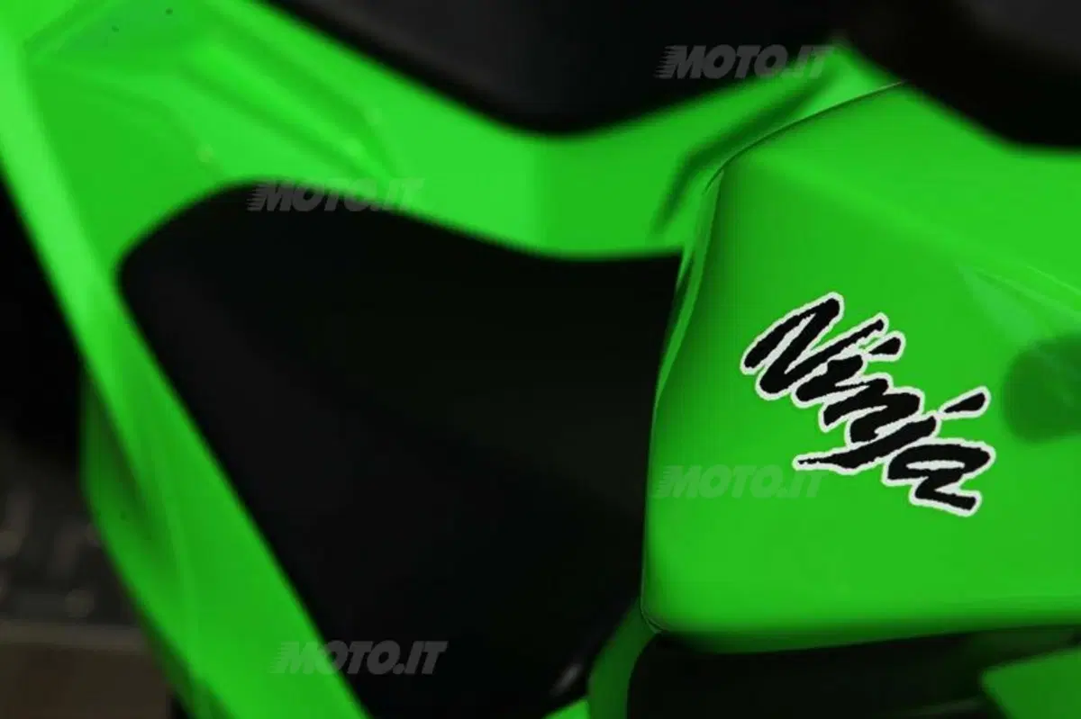 Kawasaki Ninja 300  (20)