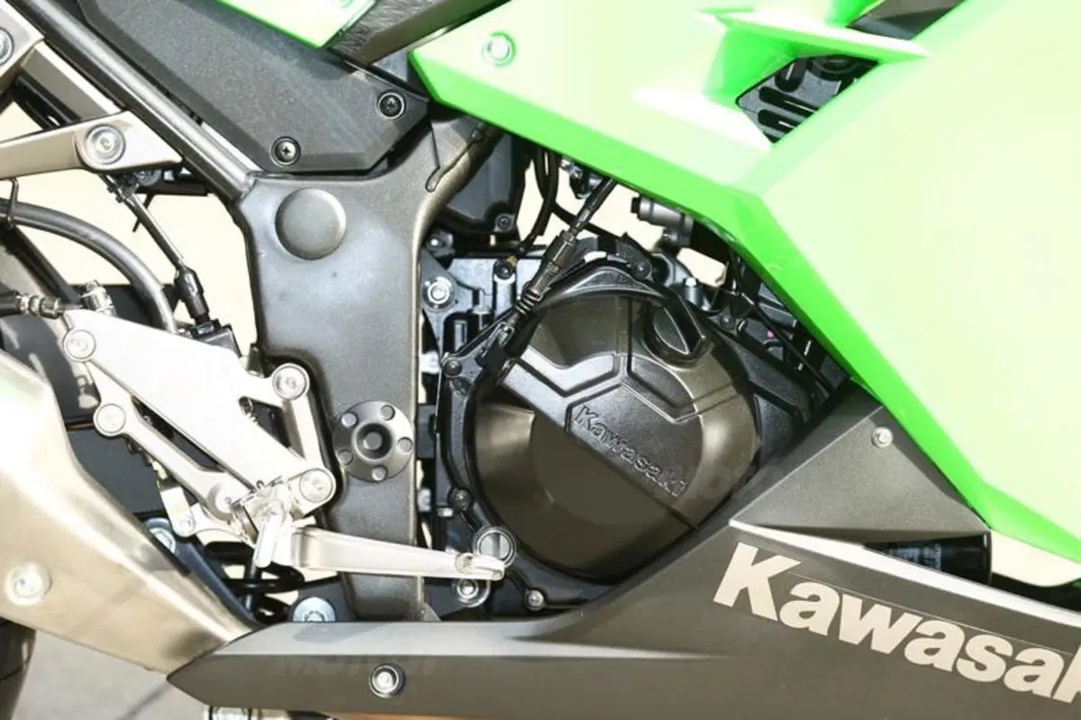 Kawasaki Ninja 300  (22)