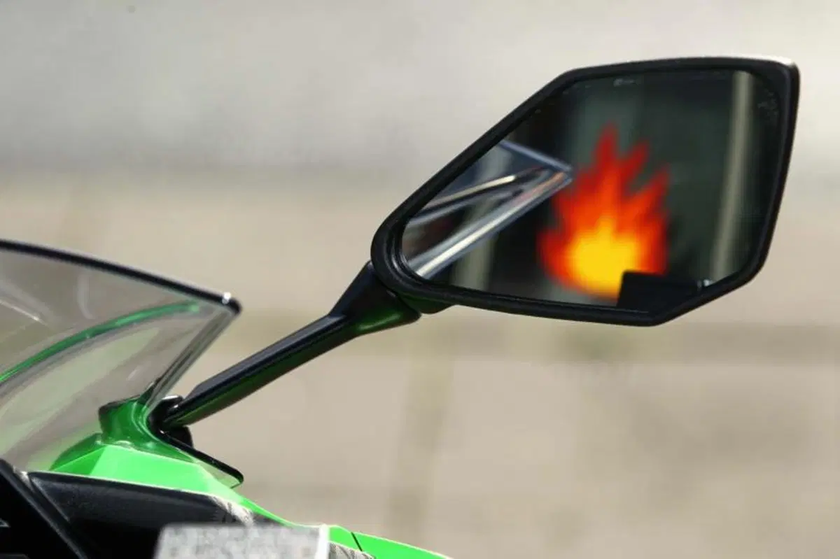 Kawasaki Ninja 300  (27)