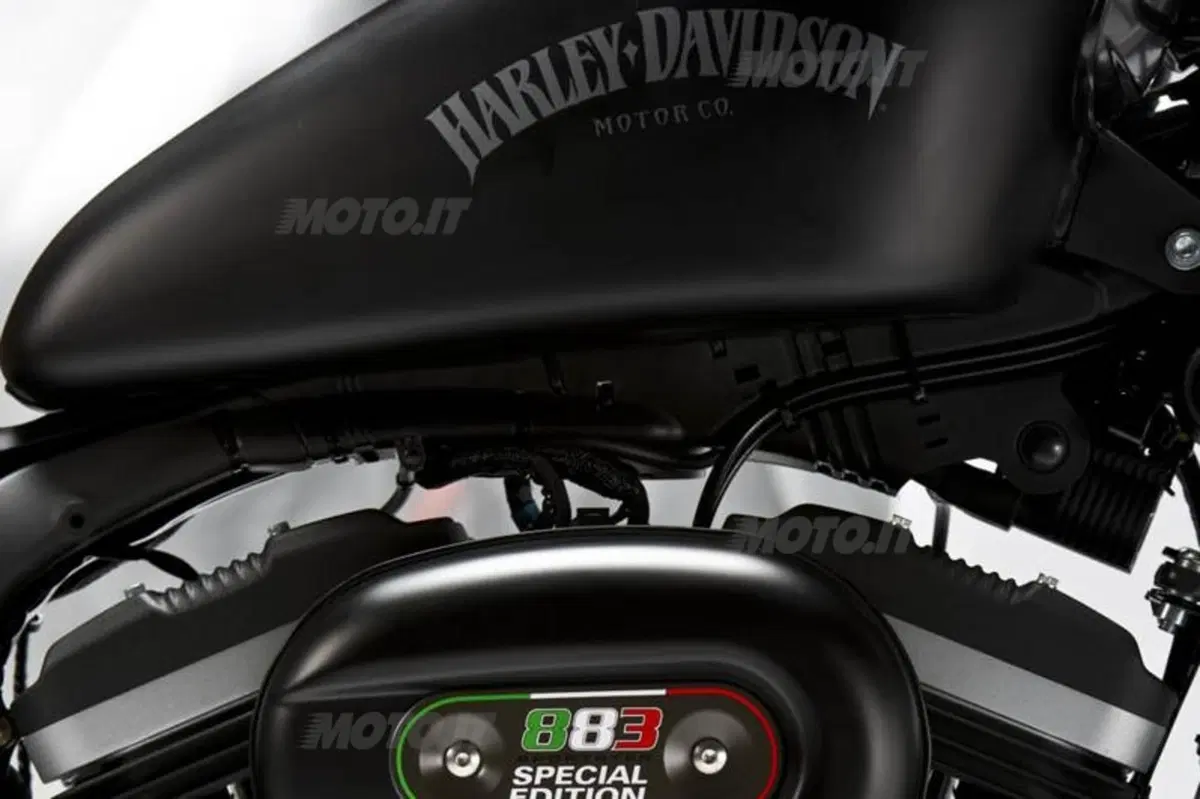Harley-Davidson Iron 883 Special Edition (4)