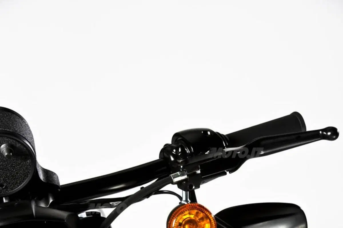 Harley-Davidson Iron 883 Special Edition (7)
