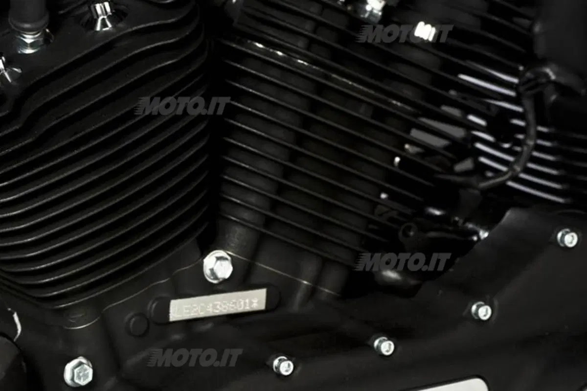 Harley-Davidson Iron 883 Special Edition (10)