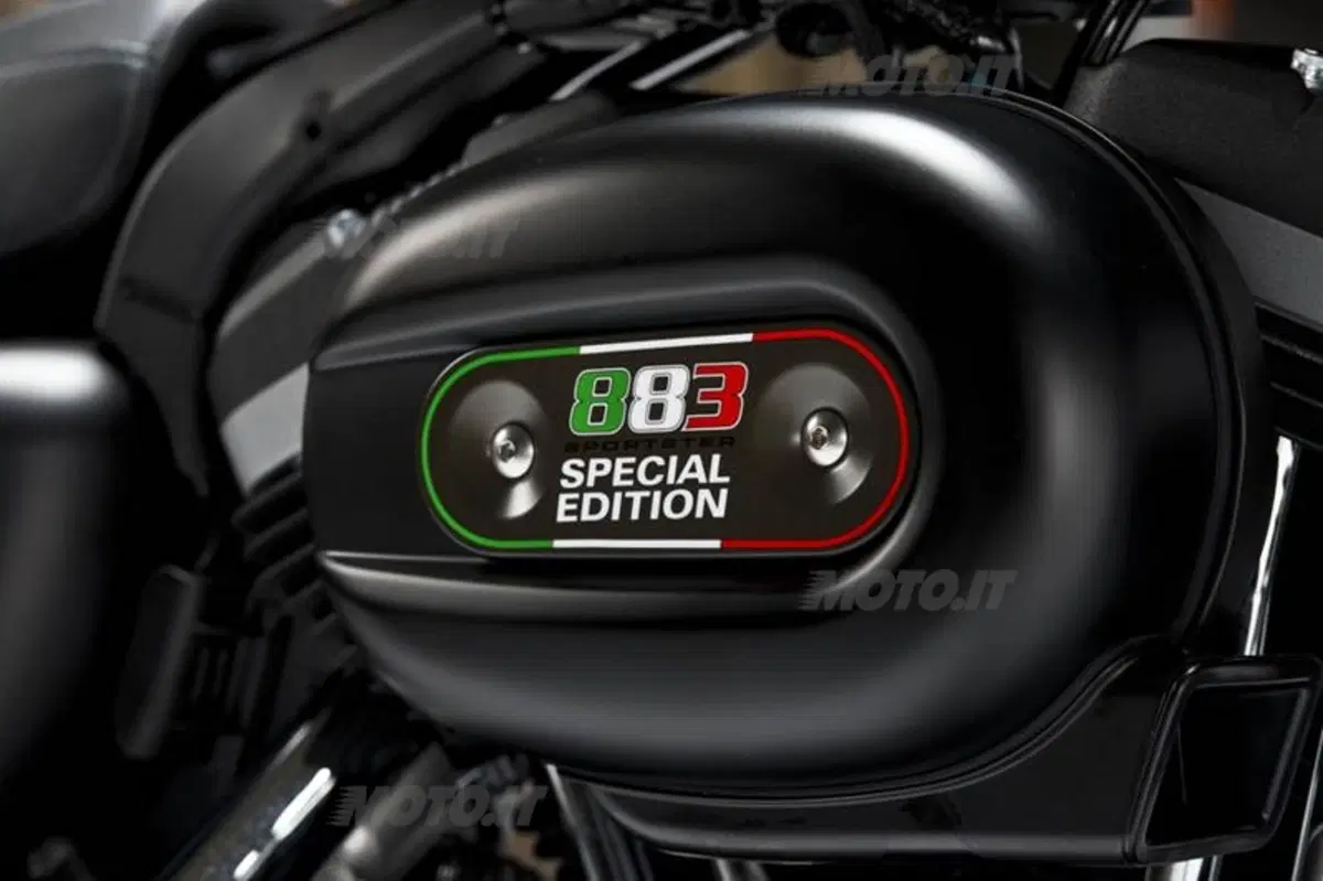 Harley-Davidson Iron 883 Special Edition (17)