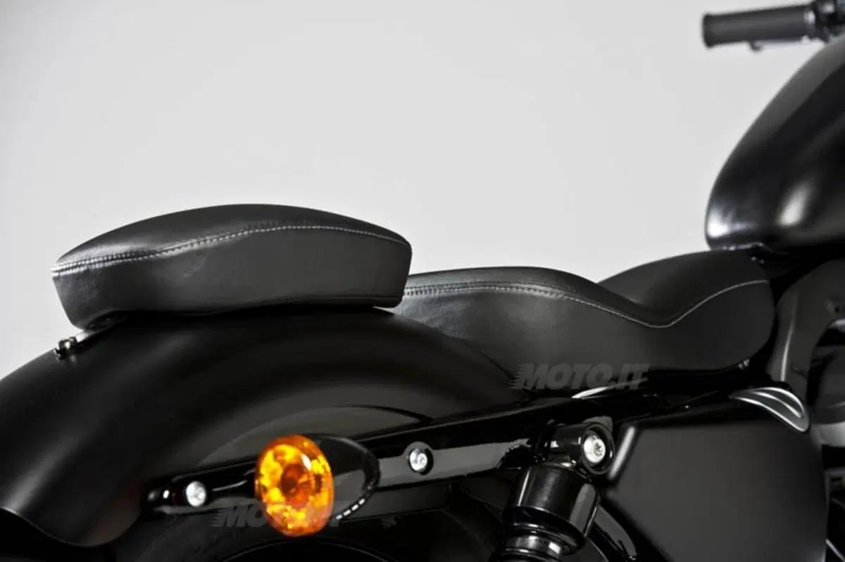 Harley-Davidson Iron 883 Special Edition (20)