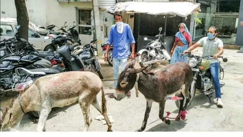 La "Donkey protest" indiana