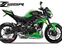 Kawasaki Z25R. Perché la 250/4 naked potrebbe arrivare...