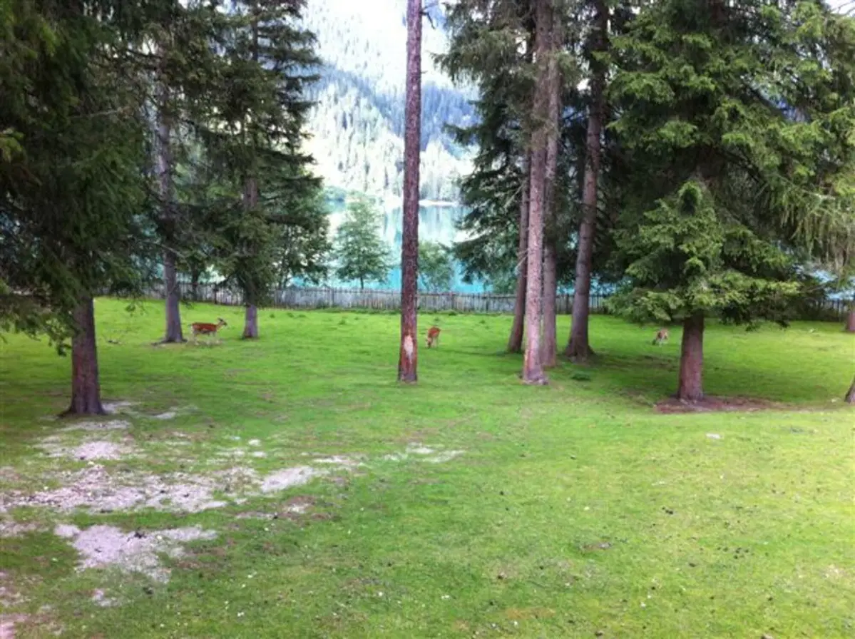 Viaggio in Austria e Germania... la terra dei bikers! (24)
