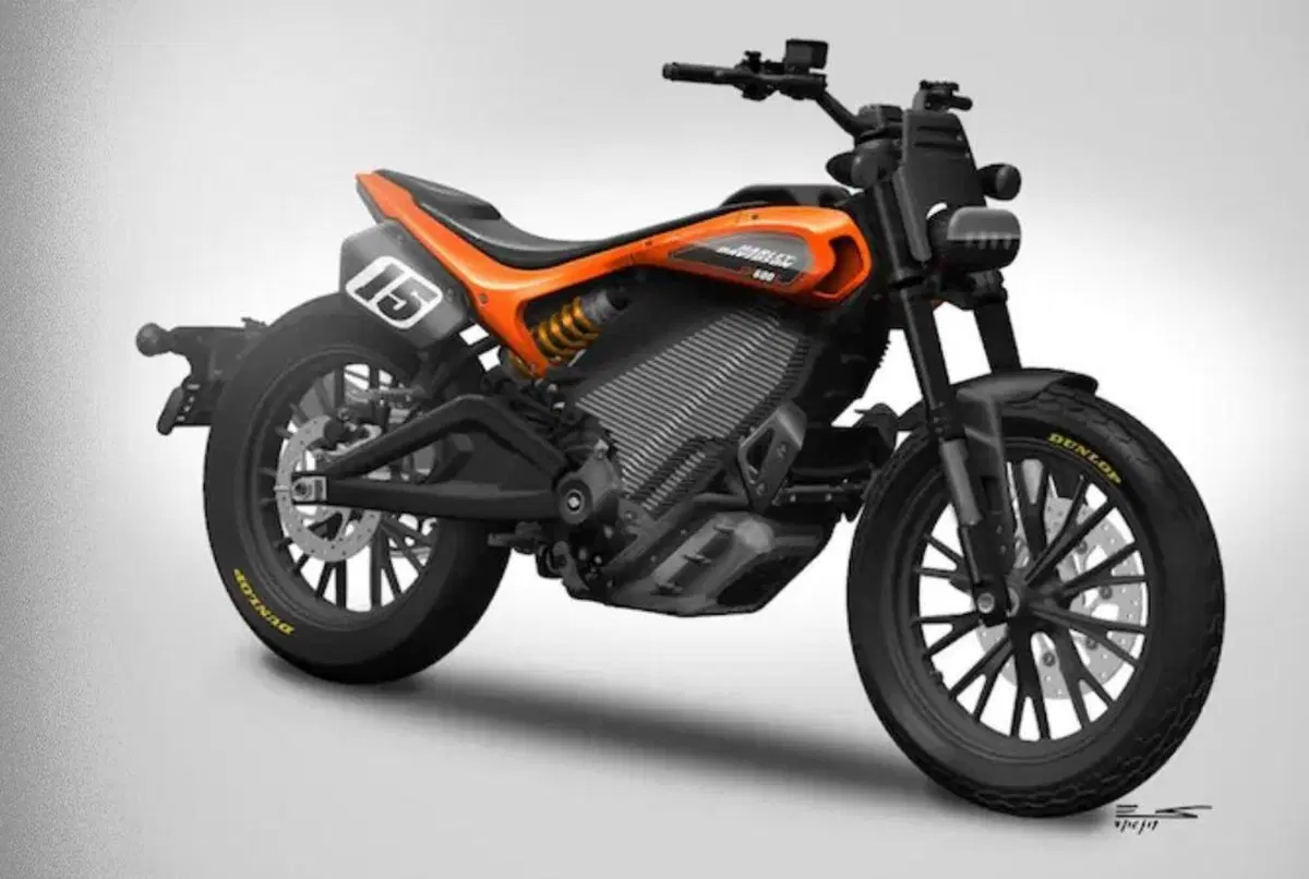 Harley-Davidson 2020: una Adventure (Pan America) e una streetfighter! (8)