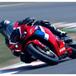 Honda CBR600RR 2021. Foto, dati e prezzo