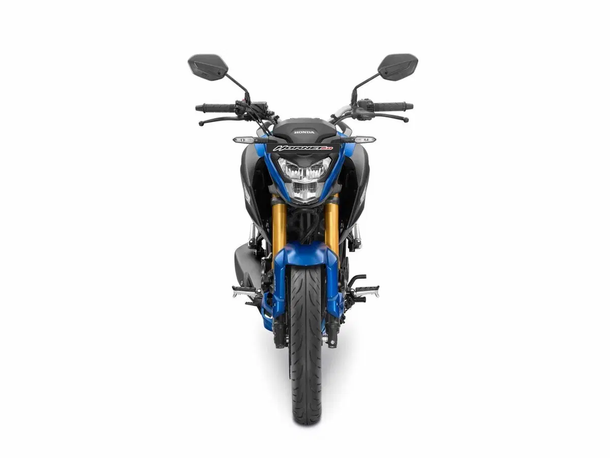 Honda Hornet 2.0, ecco la nuova 2020 (6)