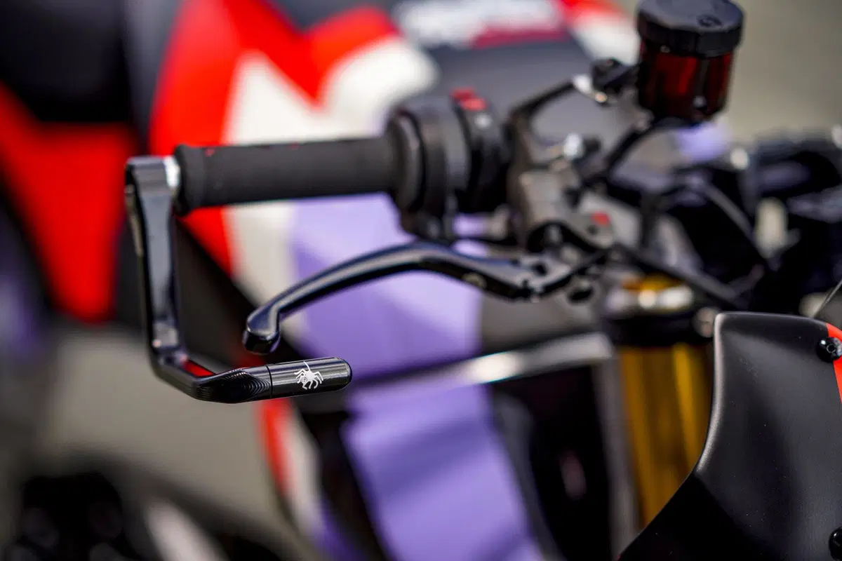Aprilia Tuono V4 Tuono V4 X (2020) (7)
