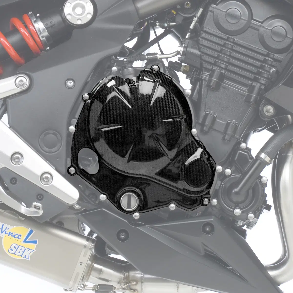 LeoVince Carbon Fiber per Kawasaki Er-6n