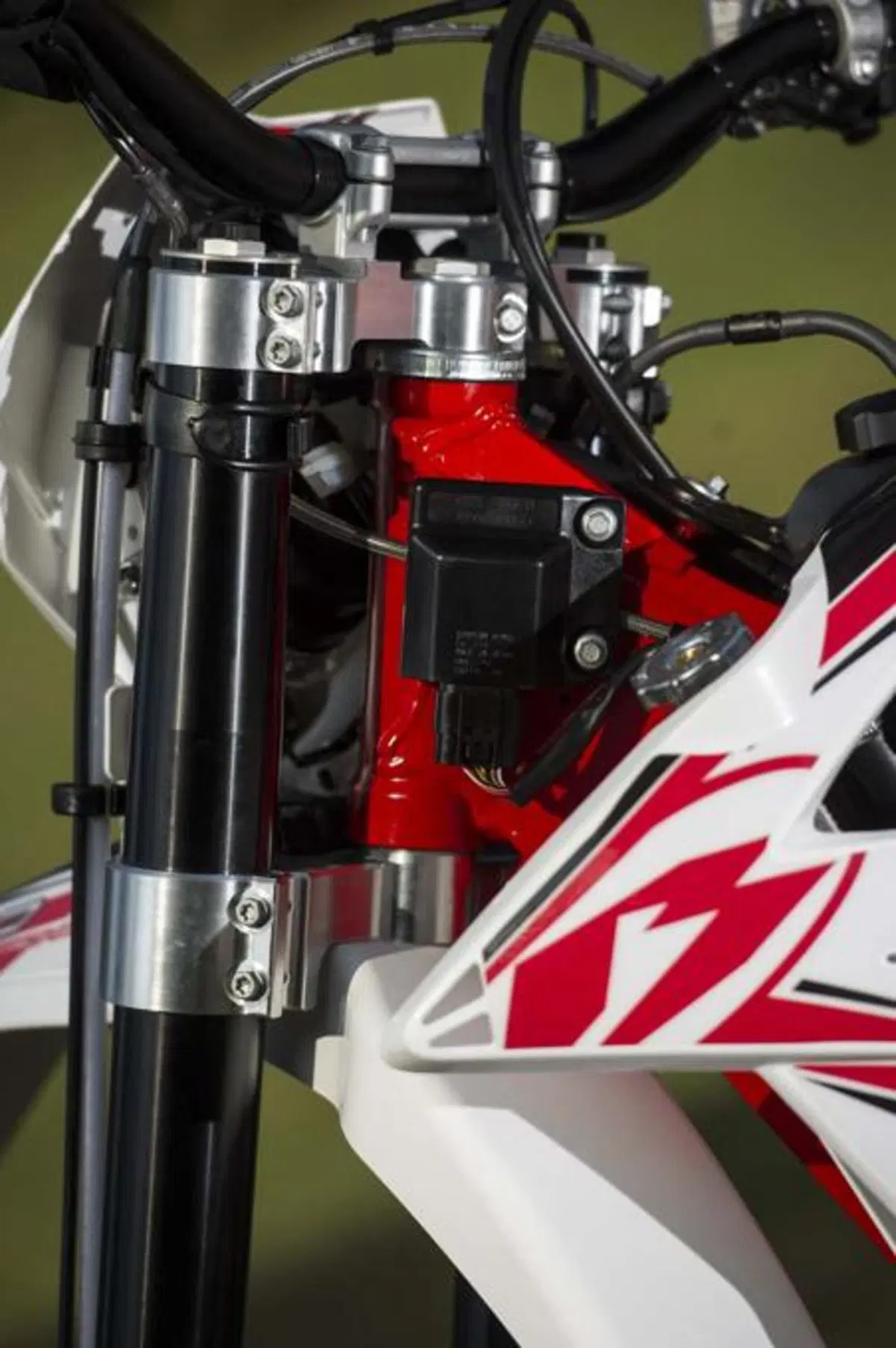 Beta Enduro 2013  (28)