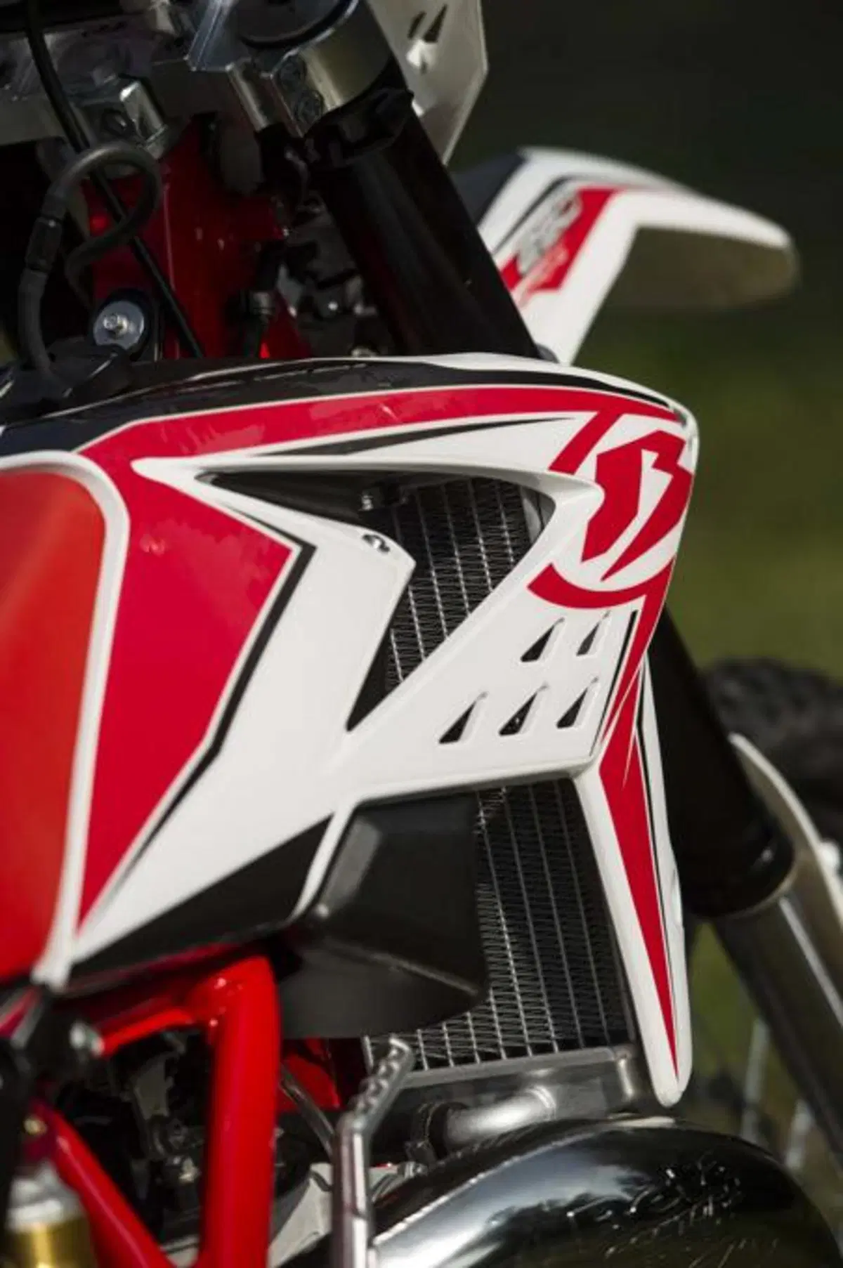 Beta Enduro 2013  (29)