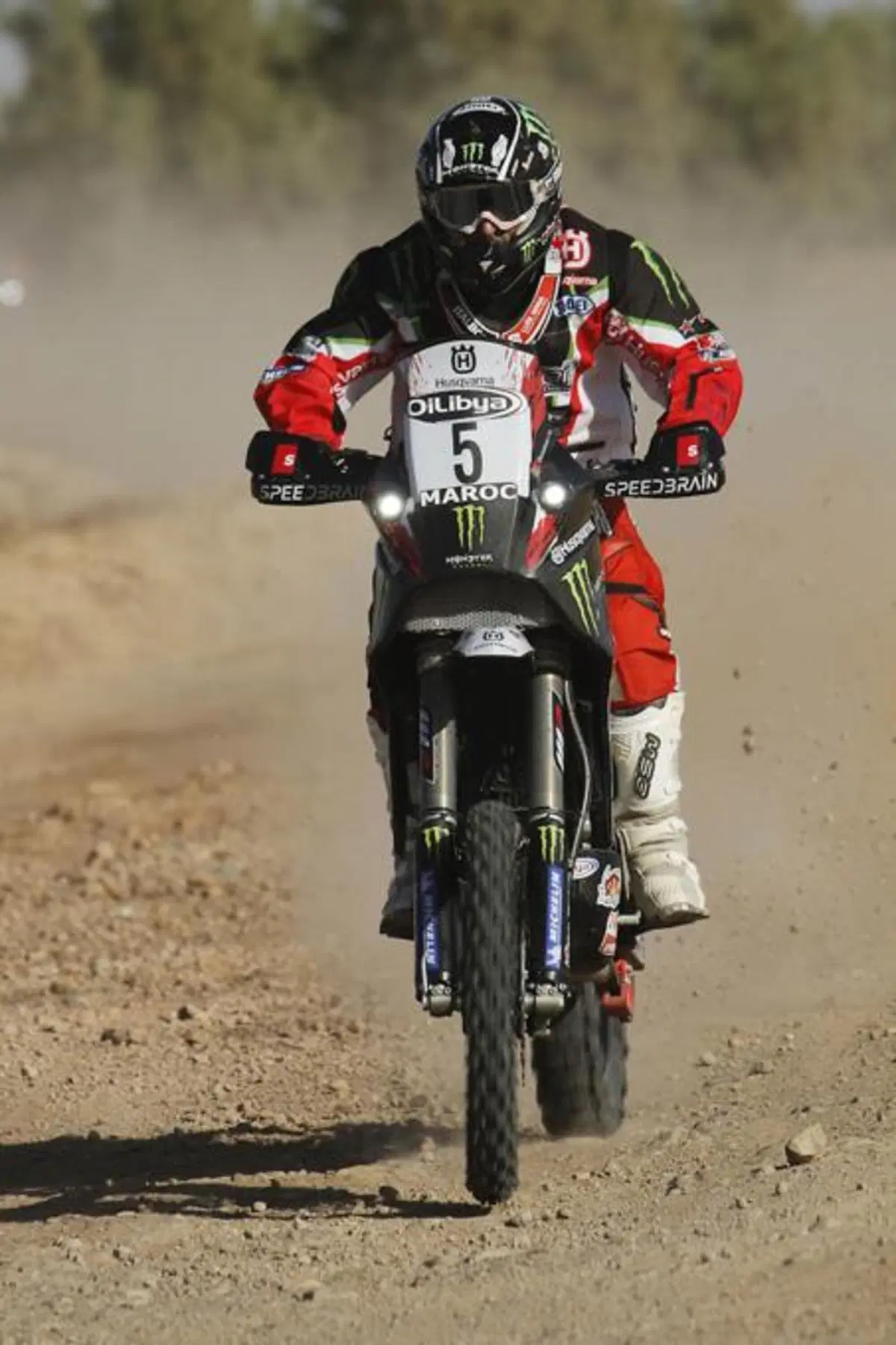 Cyril Despres vince la seconda tappa del Rally del Marocco