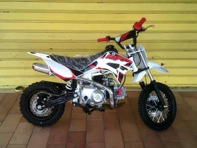  Altre moto o tipologie Pitbike nuova