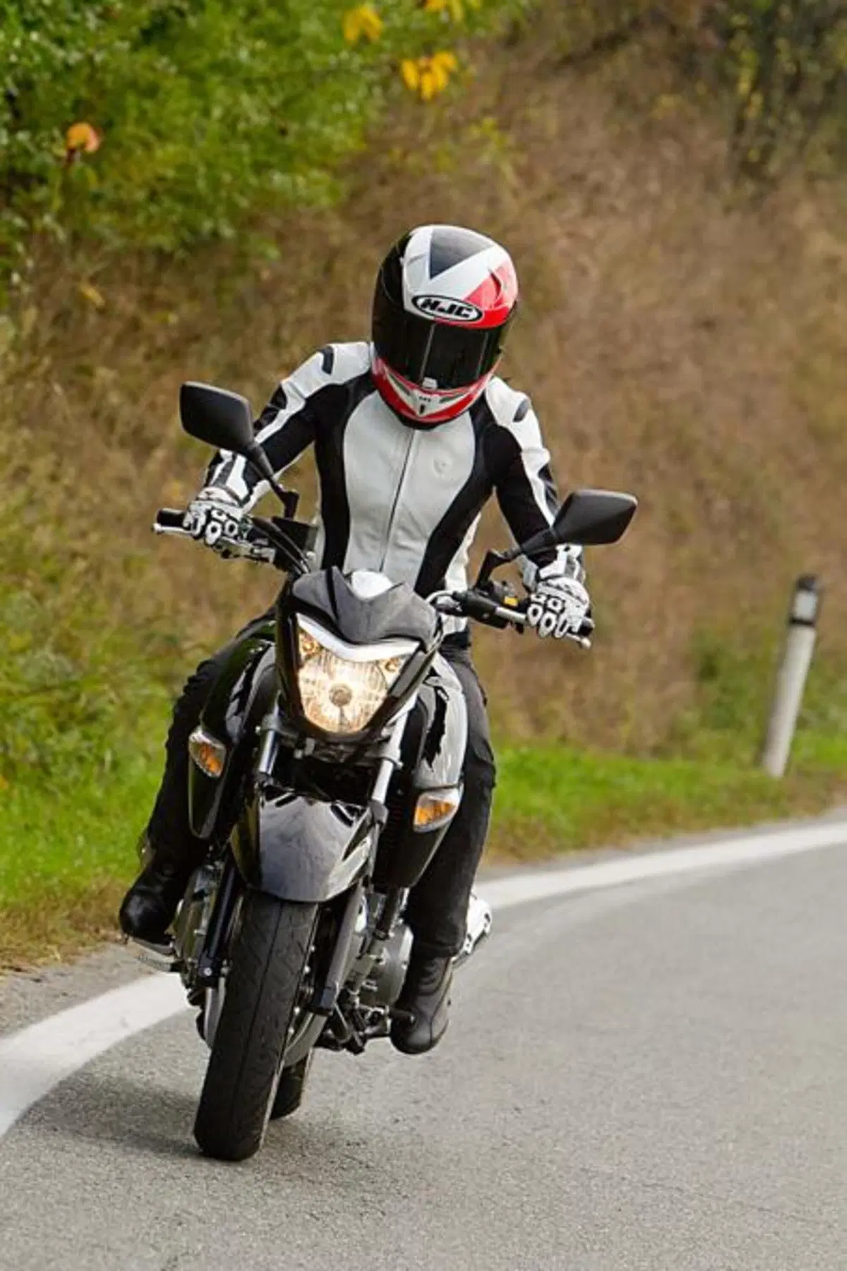 Suzuki Inazuma 250  (6)