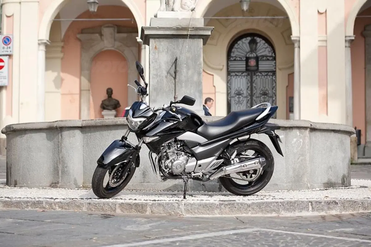 Suzuki Inazuma 250  (7)