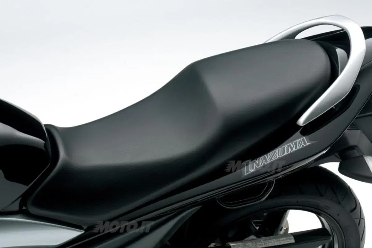 Suzuki Inazuma 250  (36)