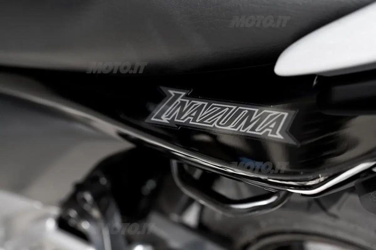Suzuki Inazuma 250  (42)