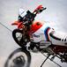 BMW R 1200GS Dakar special Roland Sands