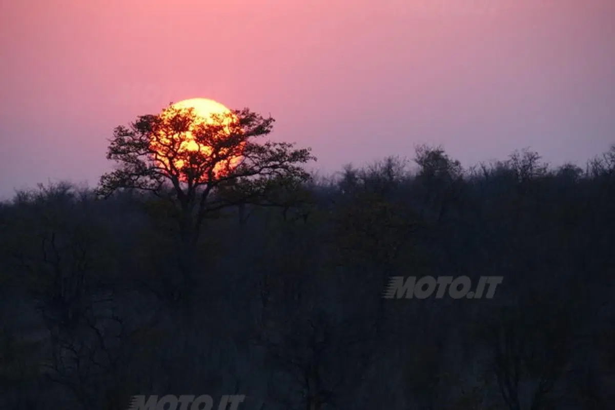 Planet Explorer 2 South Africa. Vita selvaggia al Kruger