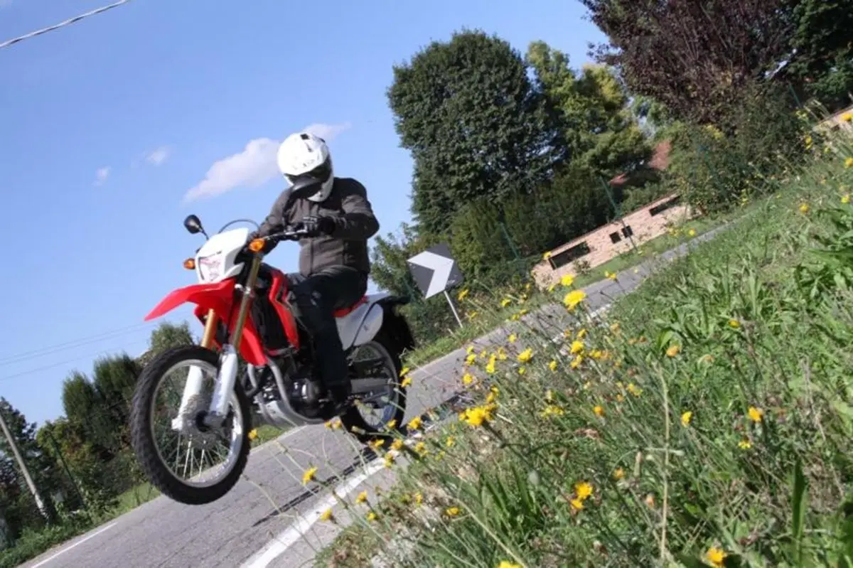 Honda CRF 250L  (10)