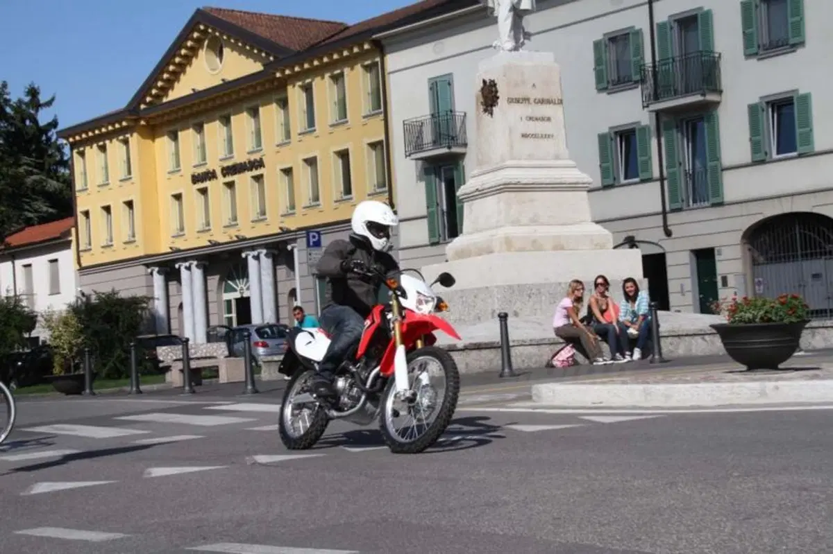Honda CRF 250L  (13)