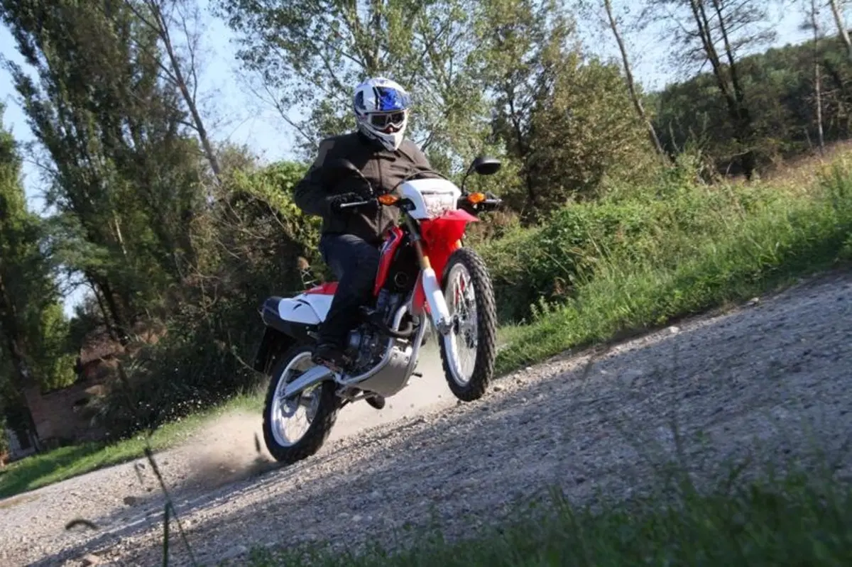 Honda CRF 250L  (14)