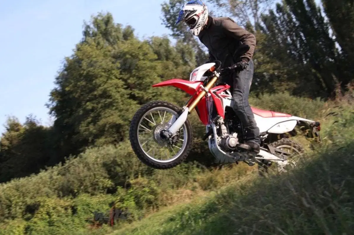 Honda CRF 250L  (15)