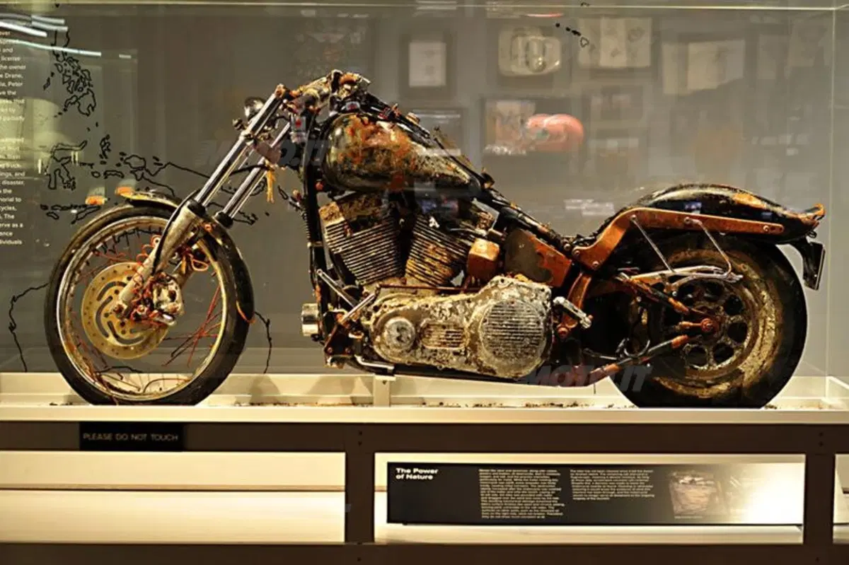 L'Harley-Davidson Night Train dello tsunami riposa in pace (5)