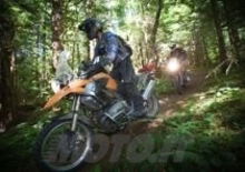 AltRider Hoh Rainforest Ride: avventura a cinque stelle