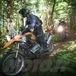 AltRider Hoh Rainforest Ride: avventura a cinque stelle