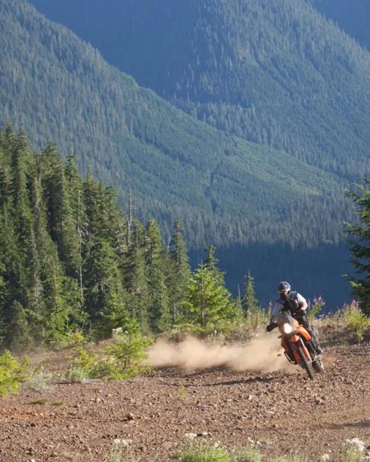 AltRider Hoh Rainforest Ride: avventura a cinque stelle (2)